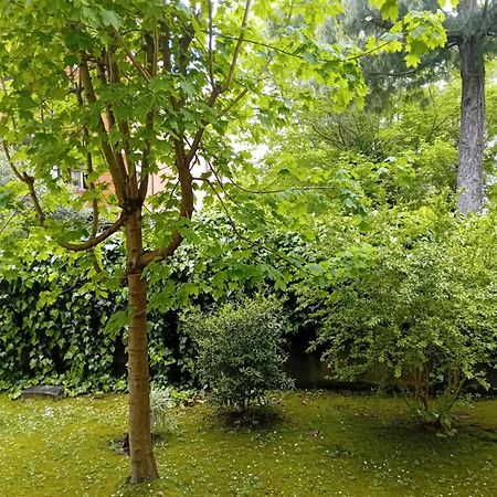 Casa Vacanze Lida Marina Di Carrara Εξωτερικό φωτογραφία